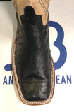 Anderson Bean Black Full Quill Ostrich